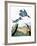 Audubon: Kingfisher-John James Audubon-Framed Giclee Print