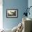Audubon: Little Blue Heron-John James Audubon-Framed Giclee Print displayed on a wall