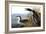 Audubon: Loon, 1827-John James Audubon-Framed Giclee Print