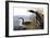 Audubon: Loon, 1827-John James Audubon-Framed Giclee Print