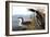 Audubon: Loon, 1827-John James Audubon-Framed Giclee Print