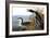 Audubon: Loon, 1827-John James Audubon-Framed Giclee Print