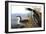 Audubon: Loon, 1827-John James Audubon-Framed Giclee Print