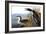 Audubon: Loon, 1827-John James Audubon-Framed Giclee Print