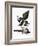 Audubon: Magpie-John James Audubon-Framed Giclee Print