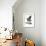 Audubon: Magpie-John James Audubon-Framed Giclee Print displayed on a wall