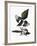 Audubon: Magpie-John James Audubon-Framed Giclee Print