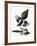 Audubon: Magpie-John James Audubon-Framed Giclee Print