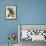 Audubon: Nighthawk-John James Audubon-Framed Giclee Print displayed on a wall