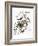 Audubon: Oriole-John James Audubon-Framed Giclee Print