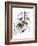 Audubon: Oriole-John James Audubon-Framed Giclee Print