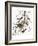 Audubon: Oriole-John James Audubon-Framed Giclee Print