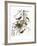 Audubon: Oriole-John James Audubon-Framed Giclee Print