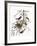 Audubon: Oriole-John James Audubon-Framed Giclee Print