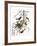 Audubon: Oriole-John James Audubon-Framed Giclee Print