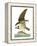 Audubon: Osprey-John James Audubon-Framed Premier Image Canvas