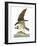 Audubon: Osprey-John James Audubon-Framed Giclee Print