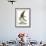 Audubon: Osprey-John James Audubon-Framed Giclee Print displayed on a wall