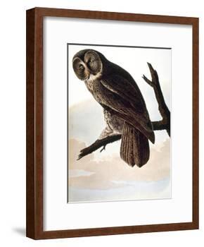 Audubon: Owl-John James Audubon-Framed Giclee Print