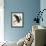 Audubon: Owl-John James Audubon-Framed Giclee Print displayed on a wall