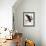 Audubon: Owl-John James Audubon-Framed Giclee Print displayed on a wall