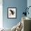 Audubon: Owl-John James Audubon-Framed Giclee Print displayed on a wall