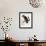 Audubon: Owl-John James Audubon-Framed Giclee Print displayed on a wall