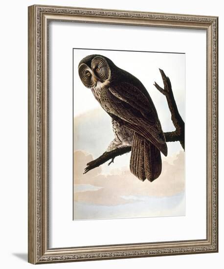 Audubon: Owl-John James Audubon-Framed Giclee Print