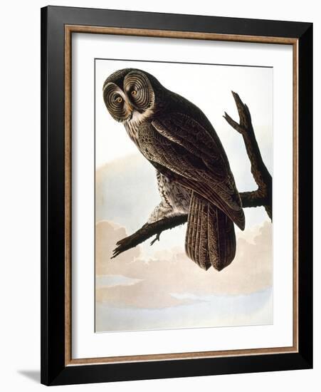 Audubon: Owl-John James Audubon-Framed Giclee Print