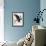 Audubon: Owl-John James Audubon-Framed Giclee Print displayed on a wall