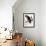 Audubon: Owl-John James Audubon-Framed Giclee Print displayed on a wall