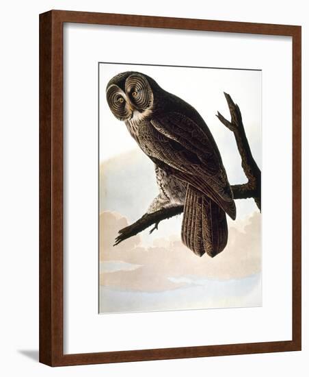 Audubon: Owl-John James Audubon-Framed Giclee Print