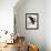 Audubon: Owl-John James Audubon-Framed Giclee Print displayed on a wall