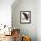 Audubon: Owl-John James Audubon-Framed Giclee Print displayed on a wall