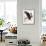 Audubon: Owl-John James Audubon-Framed Giclee Print displayed on a wall