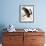 Audubon: Owl-John James Audubon-Framed Giclee Print displayed on a wall