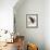 Audubon: Owl-John James Audubon-Framed Giclee Print displayed on a wall