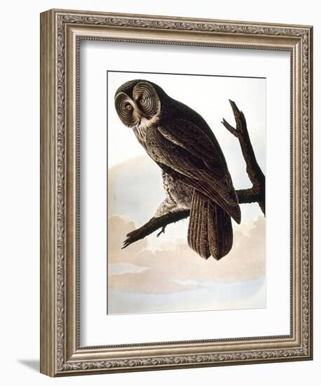 Audubon: Owl-John James Audubon-Framed Giclee Print