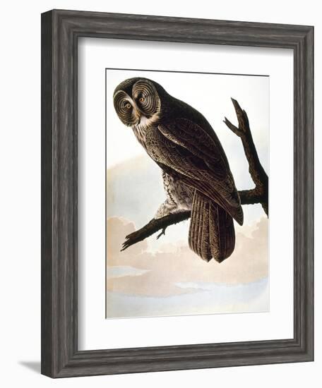 Audubon: Owl-John James Audubon-Framed Giclee Print