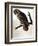 Audubon: Owl-John James Audubon-Framed Giclee Print