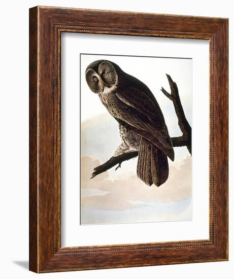 Audubon: Owl-John James Audubon-Framed Giclee Print