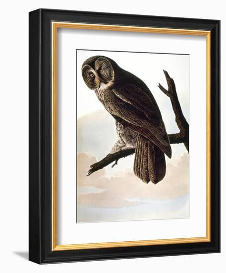 Audubon: Owl-John James Audubon-Framed Giclee Print