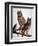 Audubon: Owl-John James Audubon-Framed Giclee Print