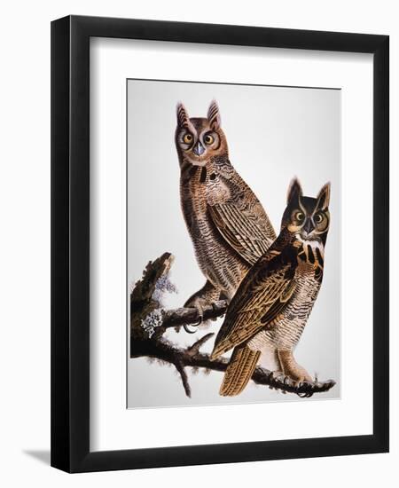 Audubon: Owl-John James Audubon-Framed Giclee Print