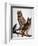 Audubon: Owl-John James Audubon-Framed Giclee Print