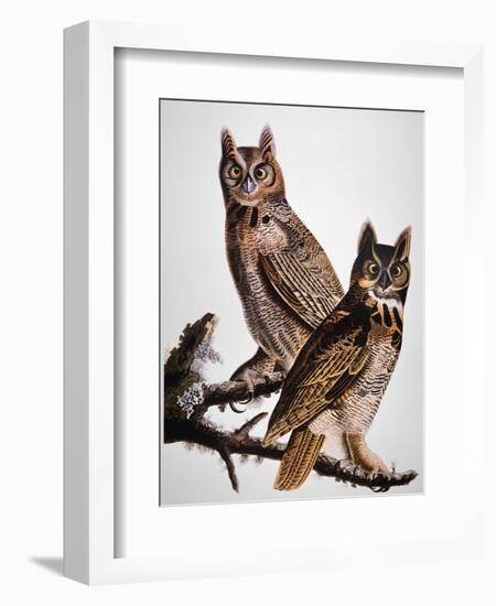 Audubon: Owl-John James Audubon-Framed Giclee Print