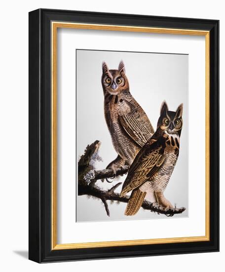 Audubon: Owl-John James Audubon-Framed Giclee Print