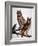 Audubon: Owl-John James Audubon-Framed Giclee Print