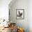 Audubon: Owl-John James Audubon-Framed Giclee Print displayed on a wall