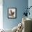 Audubon: Owl-John James Audubon-Framed Giclee Print displayed on a wall